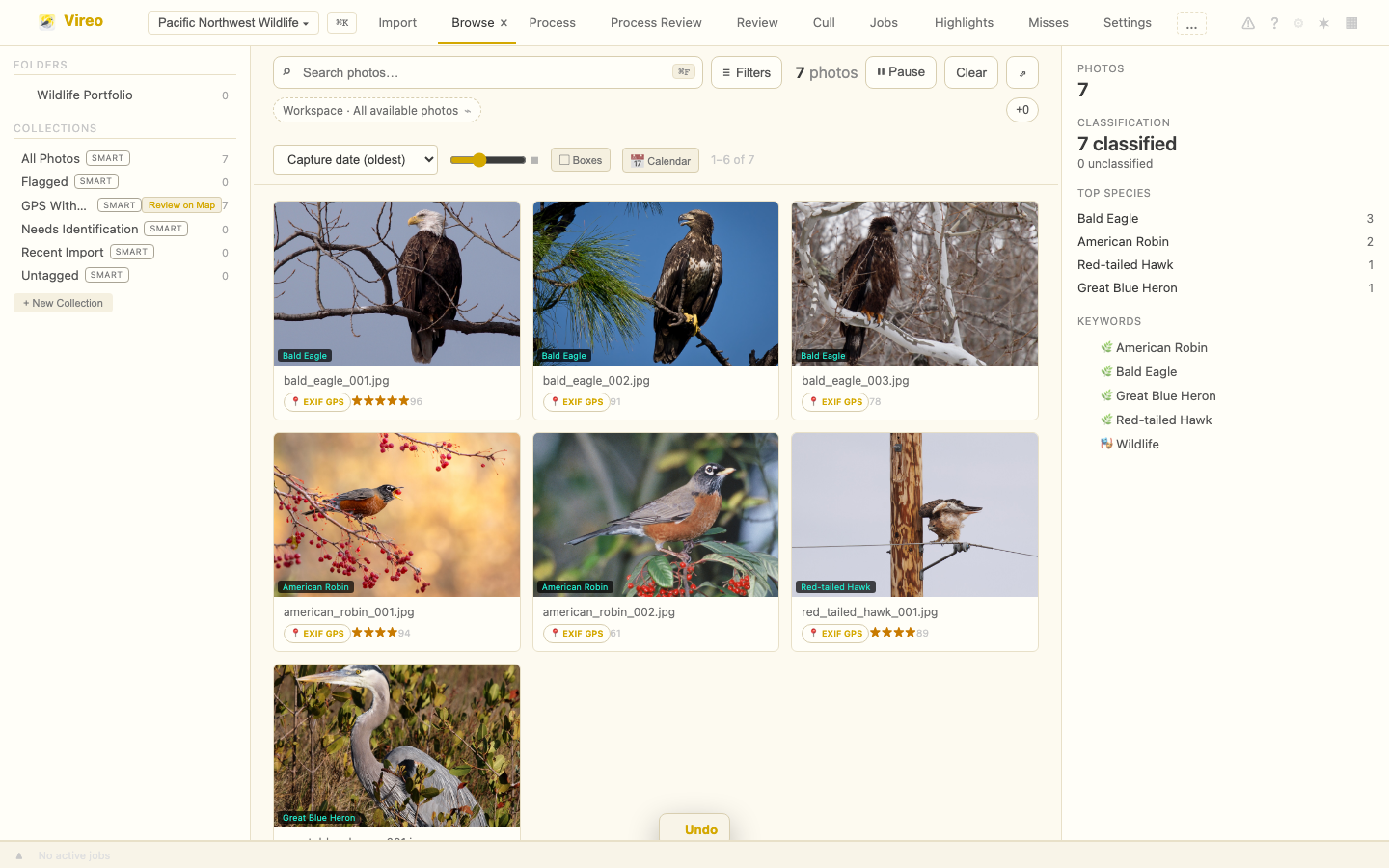 Vireo browse view with wildlife photos, filters, and review controls
