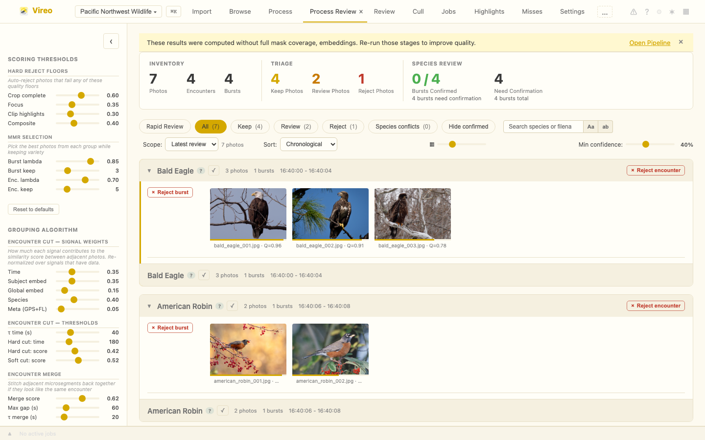 Vireo pipeline showing wildlife detections and species predictions with confidence scores